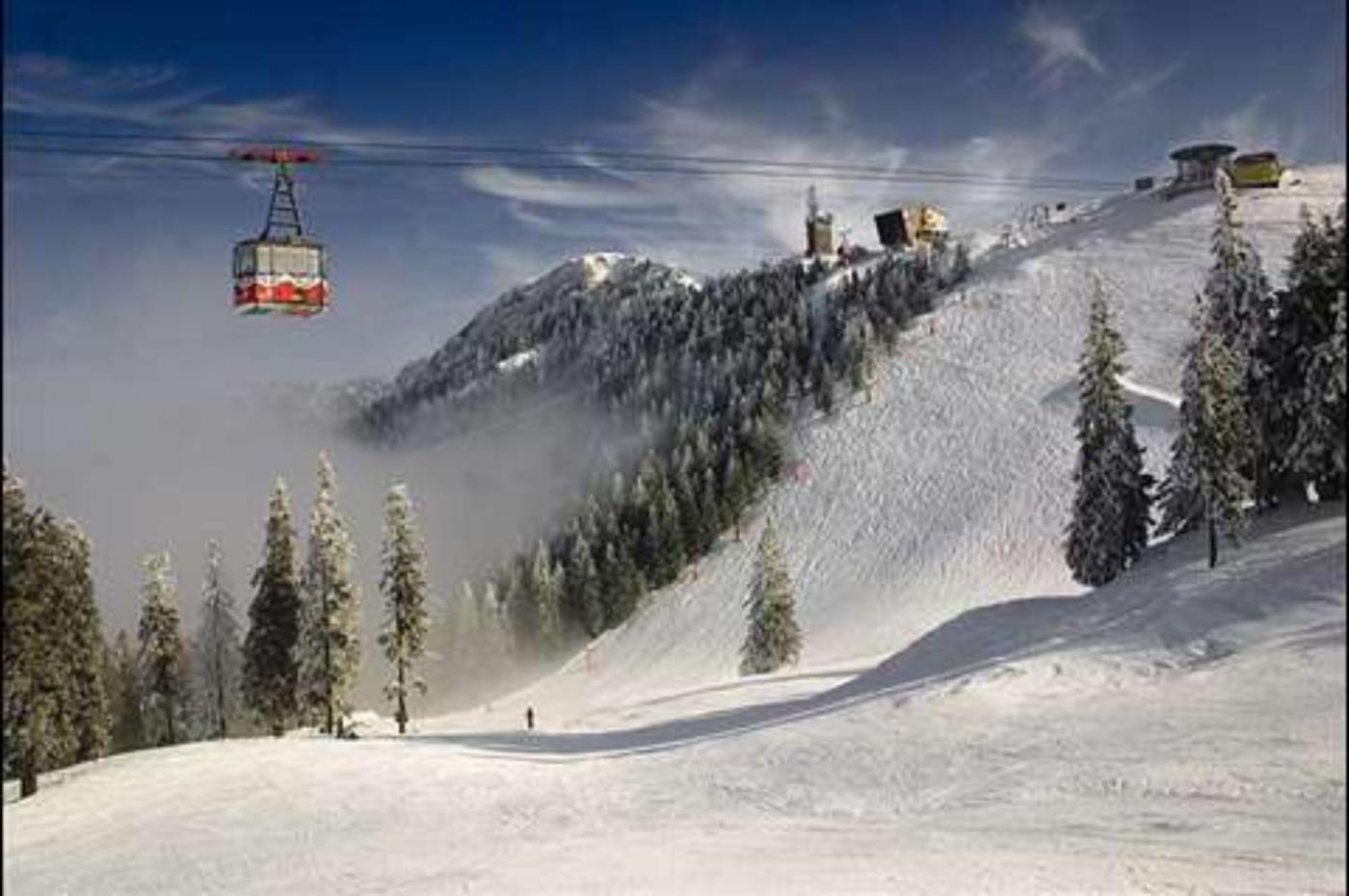 بويانا براسوف Alpin Aparthotel 2302 المظهر الخارجي الصورة